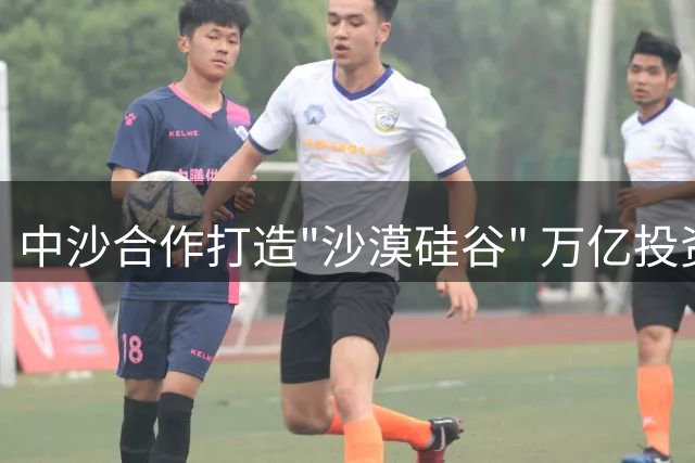 中沙合作打造"沙漠硅谷" 万亿投资开启新能源时代