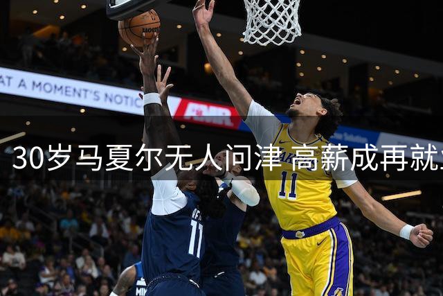 30岁马夏尔无人问津 高薪成再就业最大阻碍
